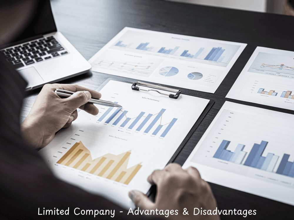 Limited Company - Advantages and Disadvantages
